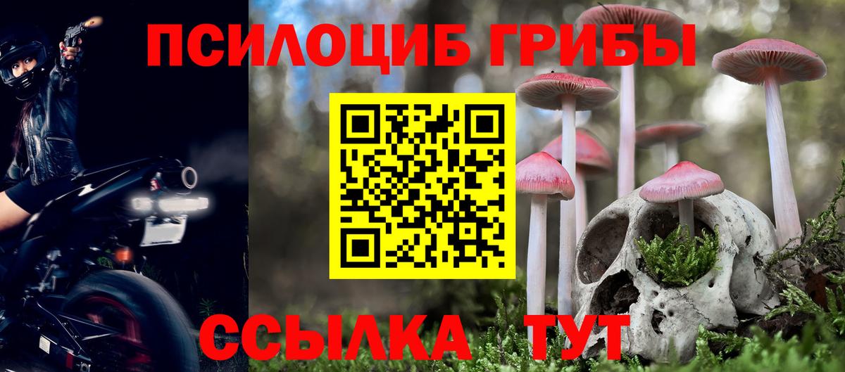 Верхний Уфалей  Псилоцибиновые грибы Psilocybe  магазин  наркотиков  Псилоцибиновые грибы MAGIC MUSHROOMS  Вход с VPN 